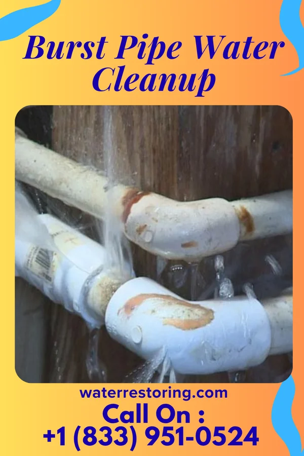Burst Pipe Water Cleanup in Waynesville, IL