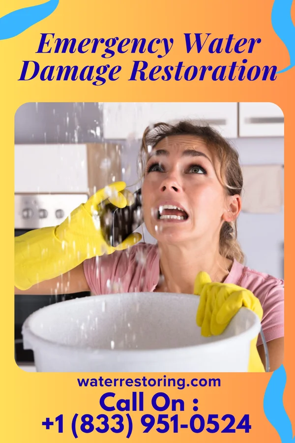 Emergency Water Damage Restoration in Waynesville, IL