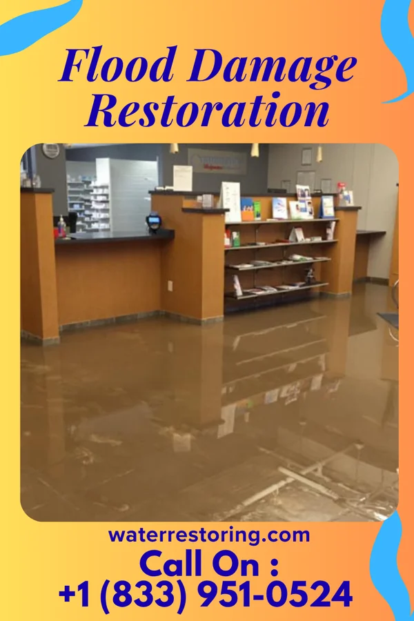 Flood Damage Restoration in Waynesville, IL