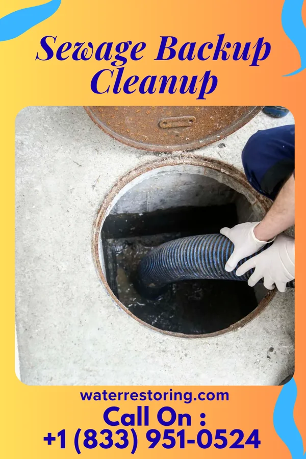 Sewage Backup Cleanup in Waynesville, IL